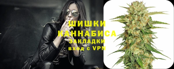 гидропоника Рославль