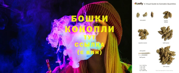шишки Абинск