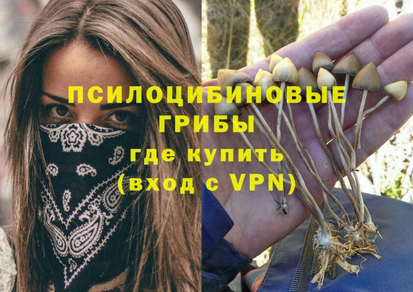 хмурый Абдулино