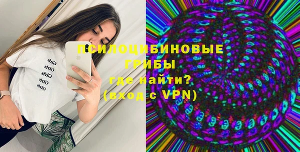 шишки Абинск