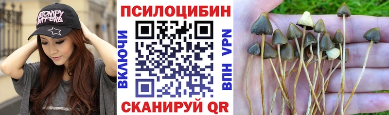 Псилоцибиновые грибы Magic Shrooms Тутаев
