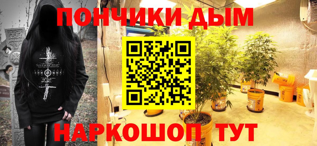 Бошки Шишки ГИДРОПОН  Бошки марихуана конопля  Тутаев  Марихуана Amnesia  Вход с VPN 